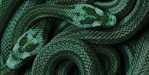 10 Legendary Snakes & Snake-like creatures