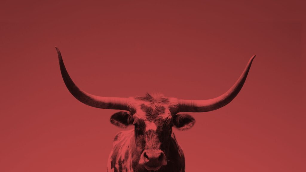 Horns - ancient symbols of power and resilience