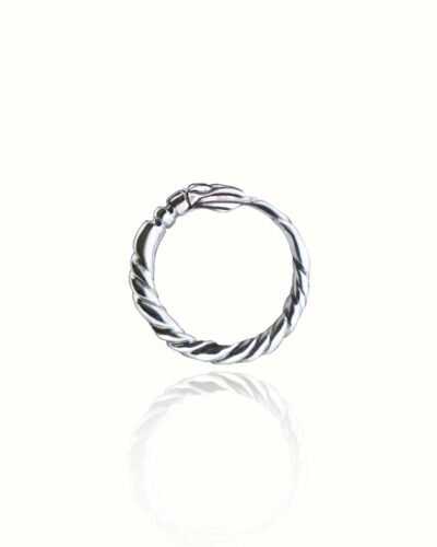 A handmade silver Ouroboros snake ring symbolizing eternity, featuring a mythological snake design. Perfect as a stacking ring or a unique ancient symbol jewelry gift