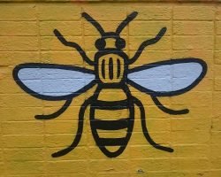 Manchester_bee_2