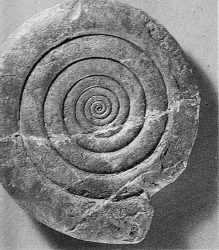 ancient spiral fertility symbol
